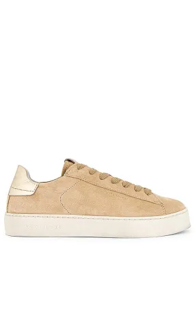 ALLSAINTS Shana Suede Sneaker in Beige