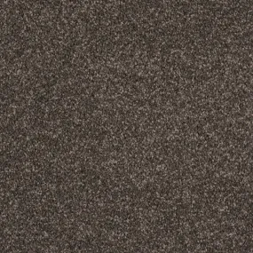 Cologne - 100% Solution Dyed Nylon