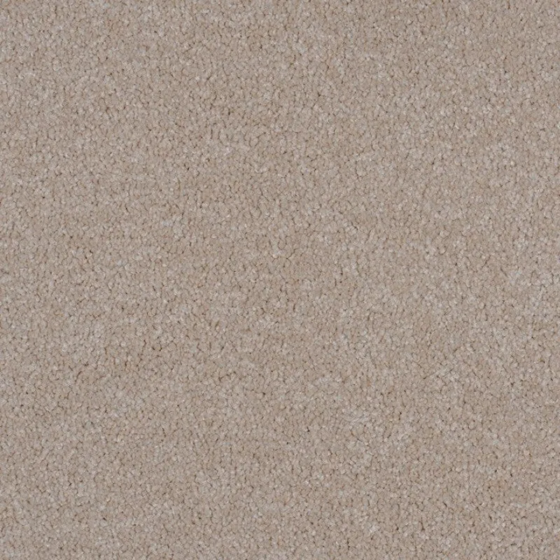 Cologne - 100% Solution Dyed Nylon