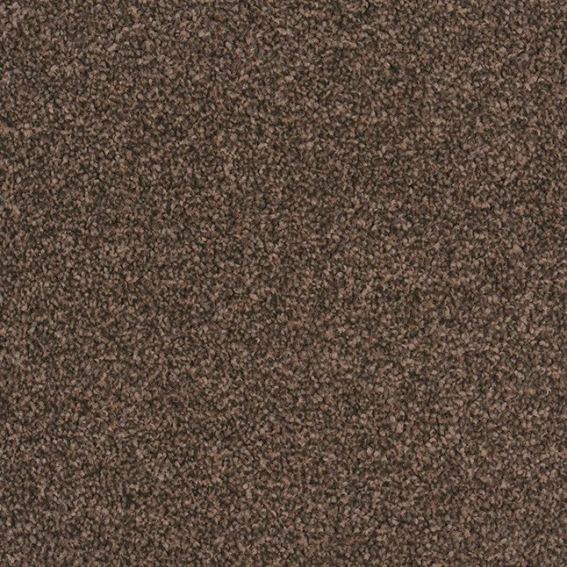 Cologne - 100% Solution Dyed Nylon