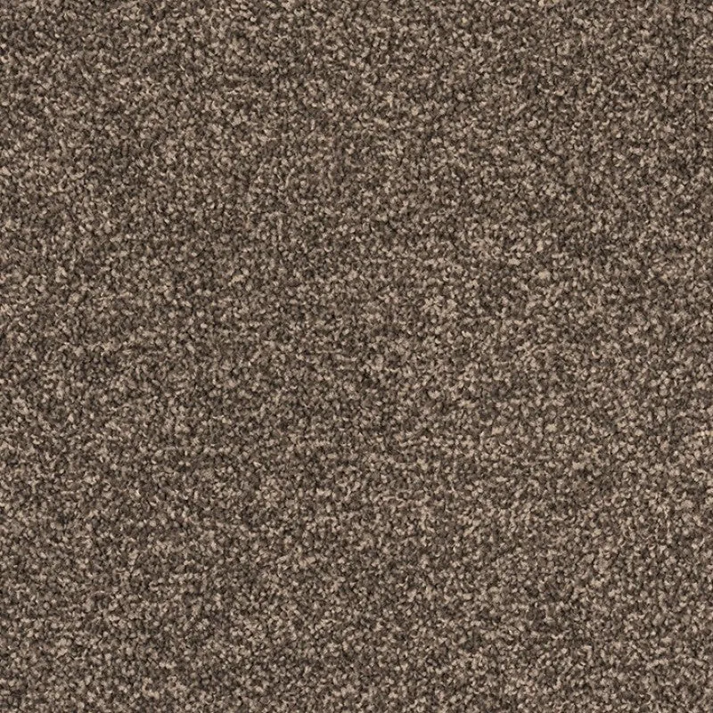 Cologne - 100% Solution Dyed Nylon