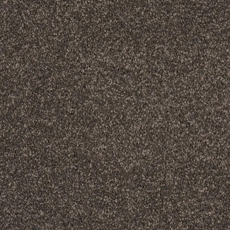 Cologne - 100% Solution Dyed Nylon