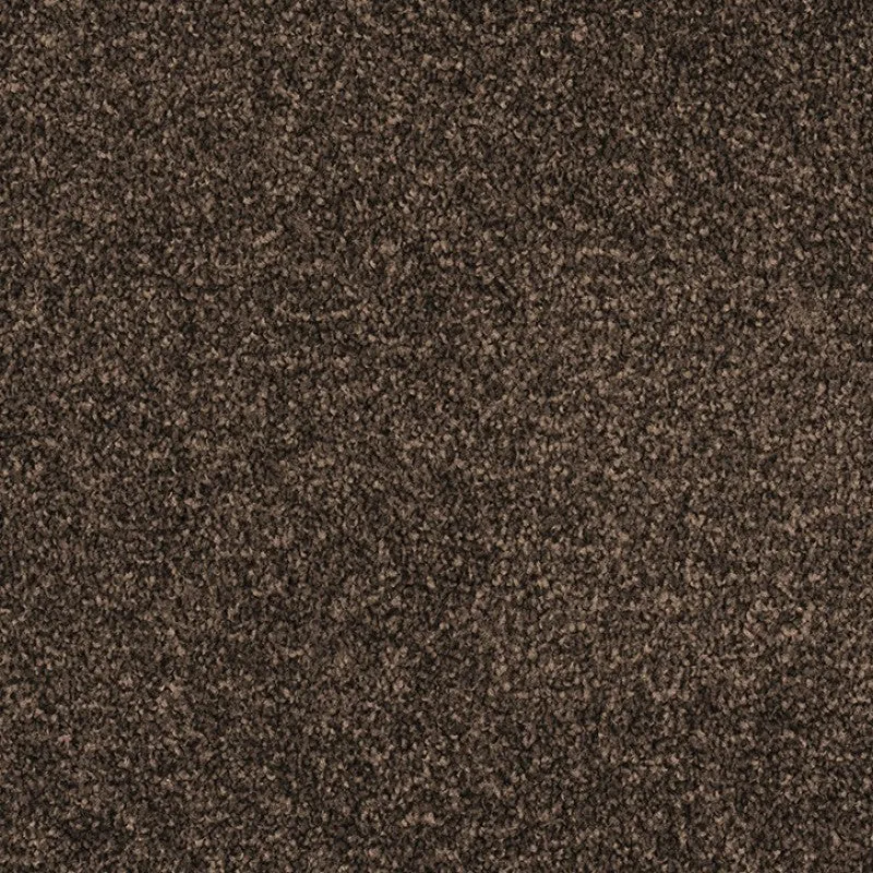 Cologne - 100% Solution Dyed Nylon