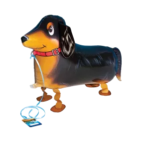 Walking Balloon  Dachshund "27