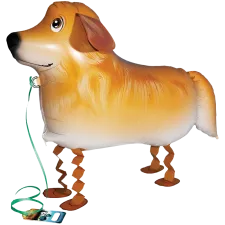 Walking Balloon  Golden Retriever "29