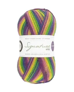 West Yorkshire Spinners Signature 4 Ply